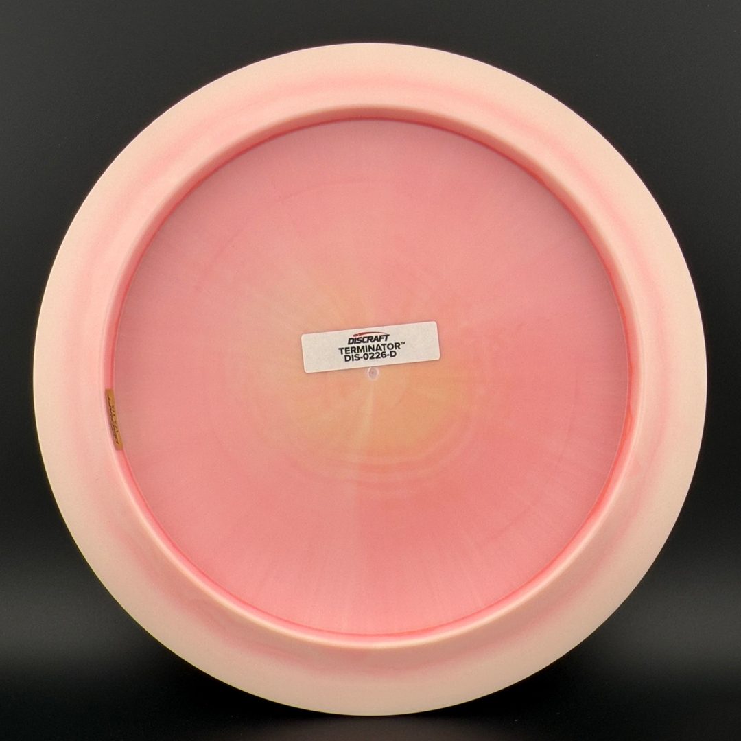 Swirl ESP Terminator - Test Flight