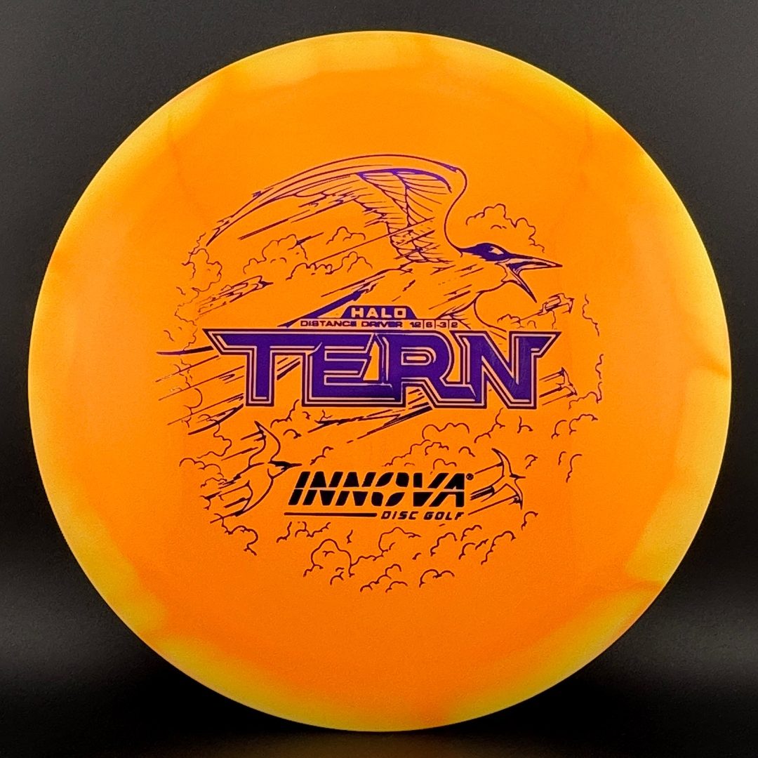 Halo Star Tern Innova