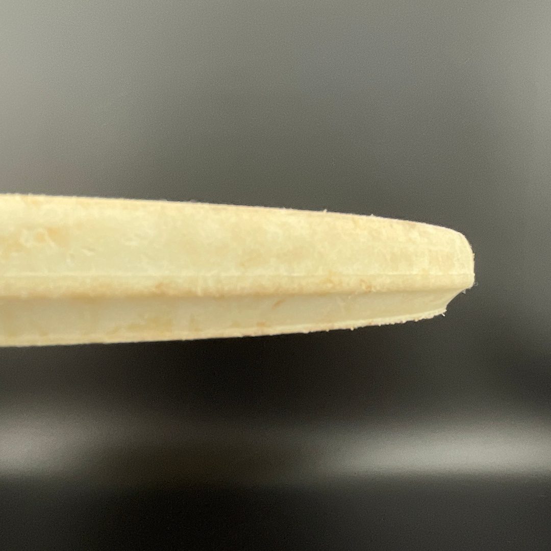 Fossil Stego *Gibson Stash Used* Reptilian Disc Golf