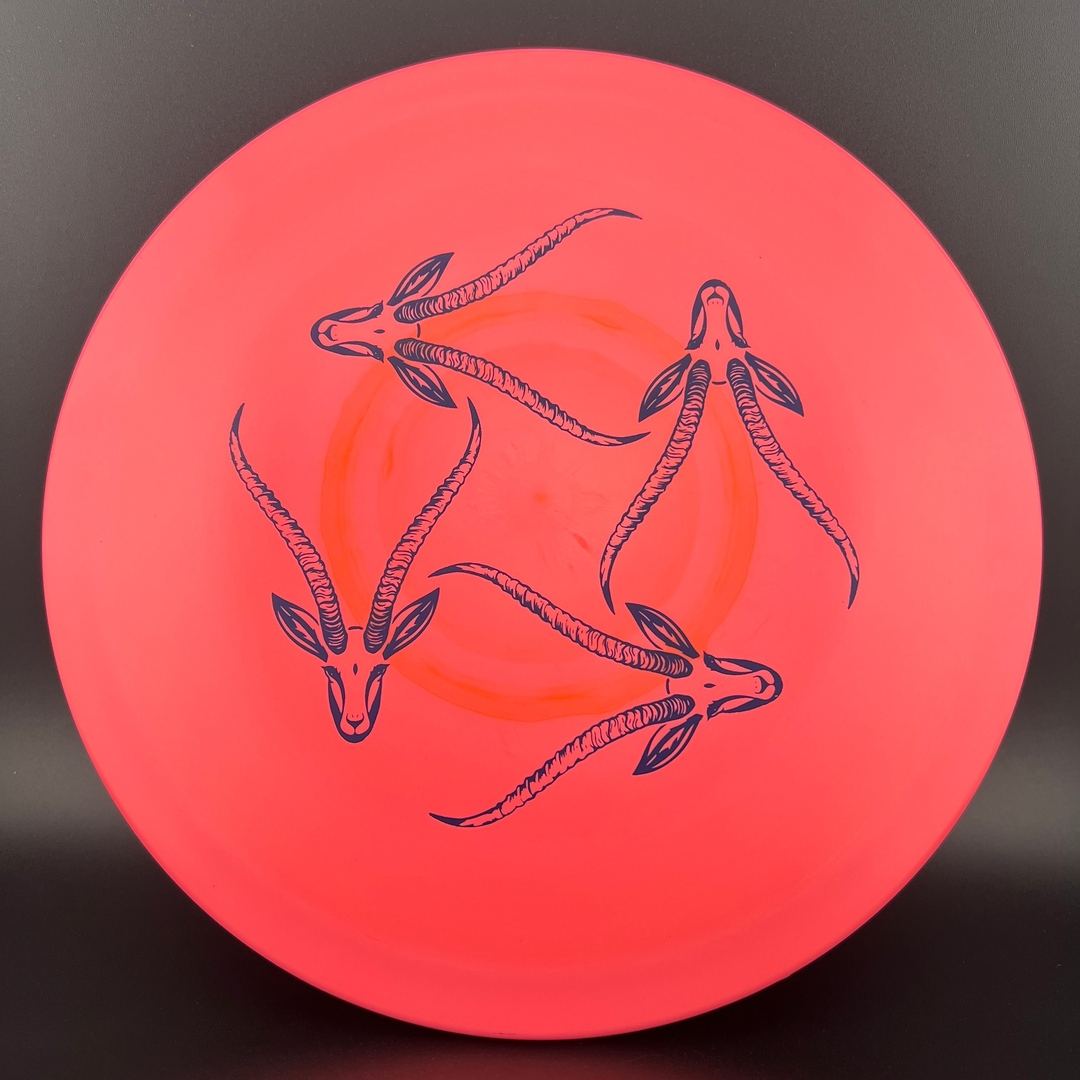 Star Gazelle - Limited Edition Innova