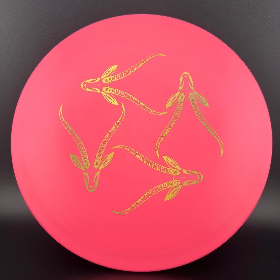 Star Gazelle - Limited Edition Innova