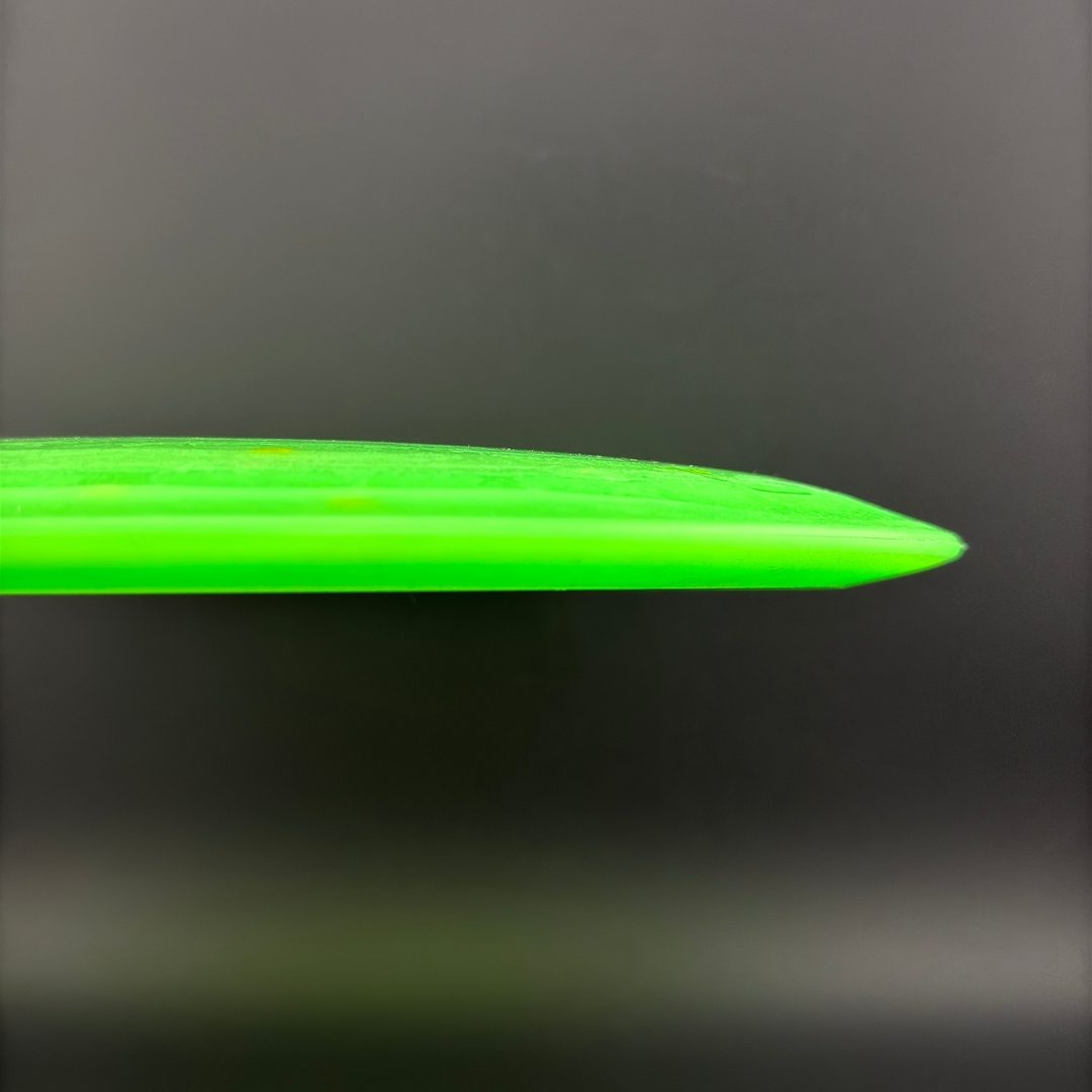 Egg Shell Pterodactyl Dino Discs