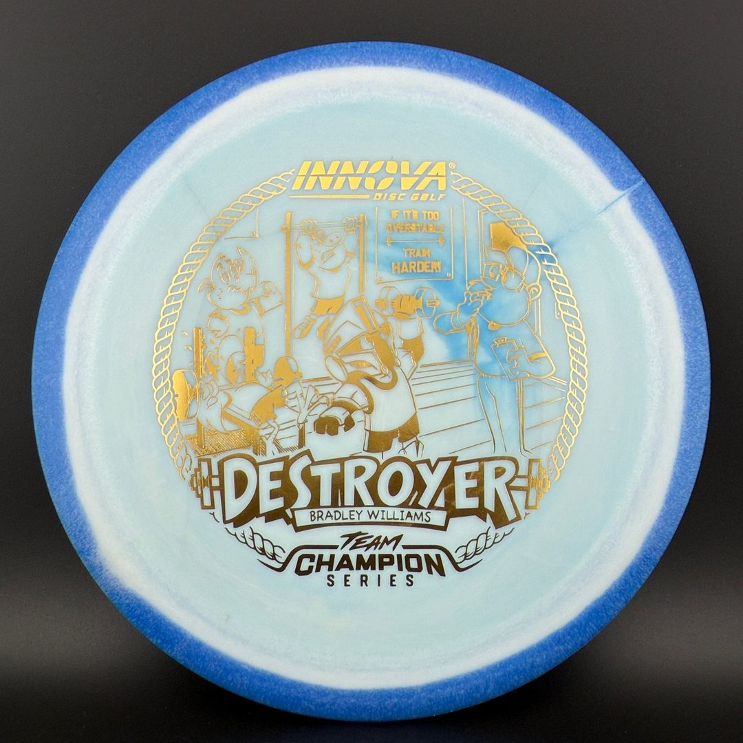 Halo Star Destroyer - Baby Destroyer - PDGA Masters Bradley Williams Innova