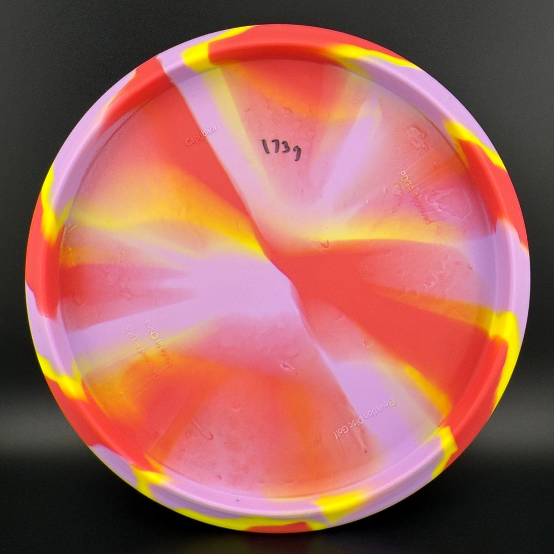 OG Capybara - Clownybara Elevation