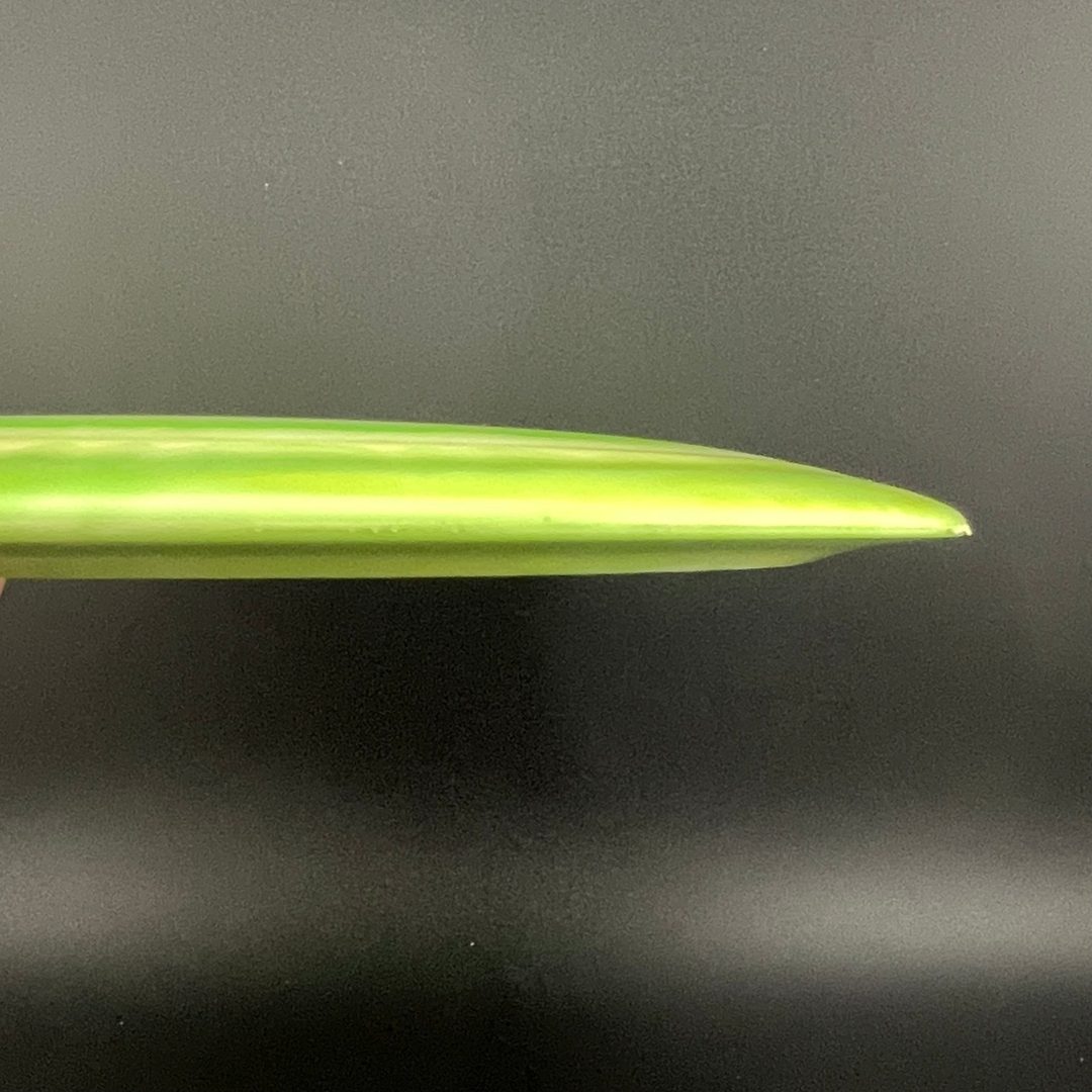 Steady Ring Wild Honey Clash Discs