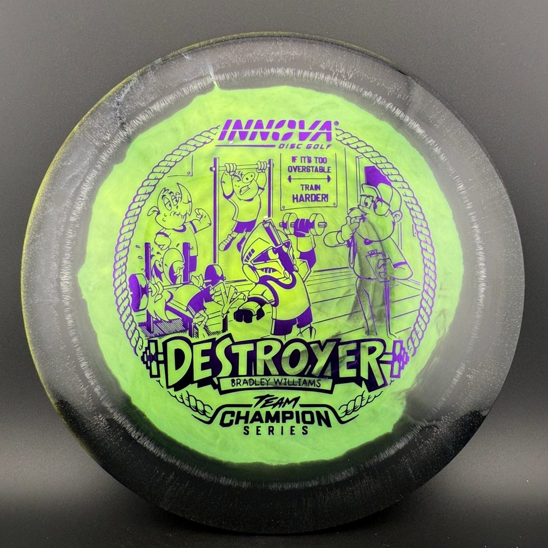 Halo Star Destroyer - Baby Destroyer - PDGA Masters Bradley Williams Innova