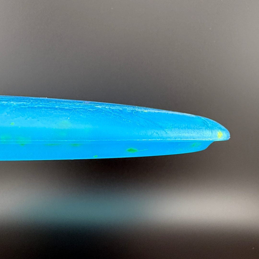 Egg Shell Brachiosaurus Dino Discs