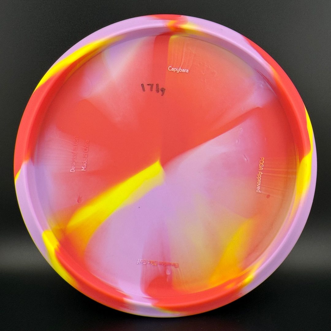 OG Capybara - Clownybara Elevation