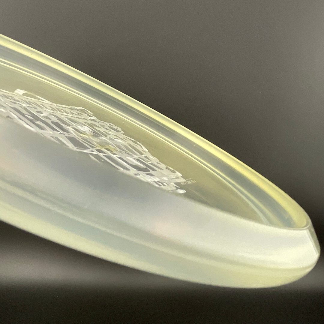 HyzerBomb Recon Tank Penned - 2017 NH Memorial Millennium