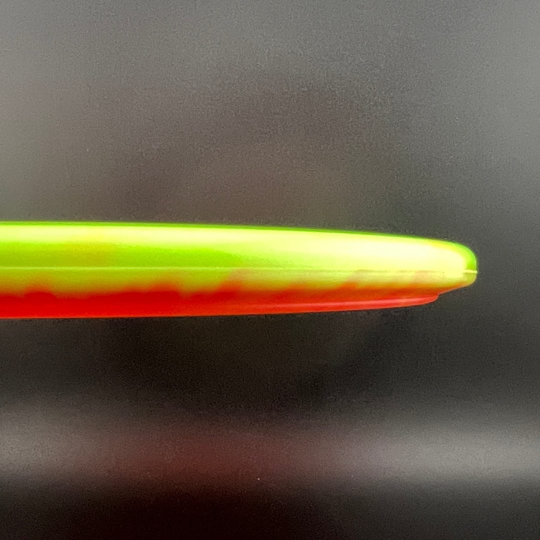 Halo Star Gator3 - Rasmus Saukkoriipi 2026 Innova