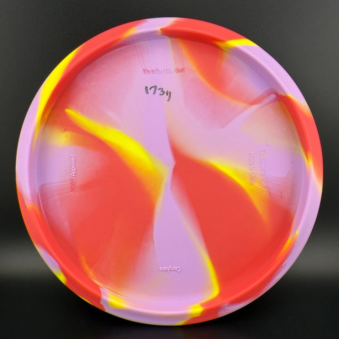 OG Capybara - Clownybara Elevation