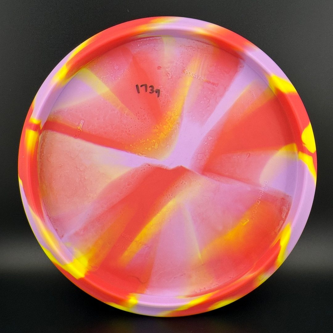 OG Capybara - Clownybara Elevation