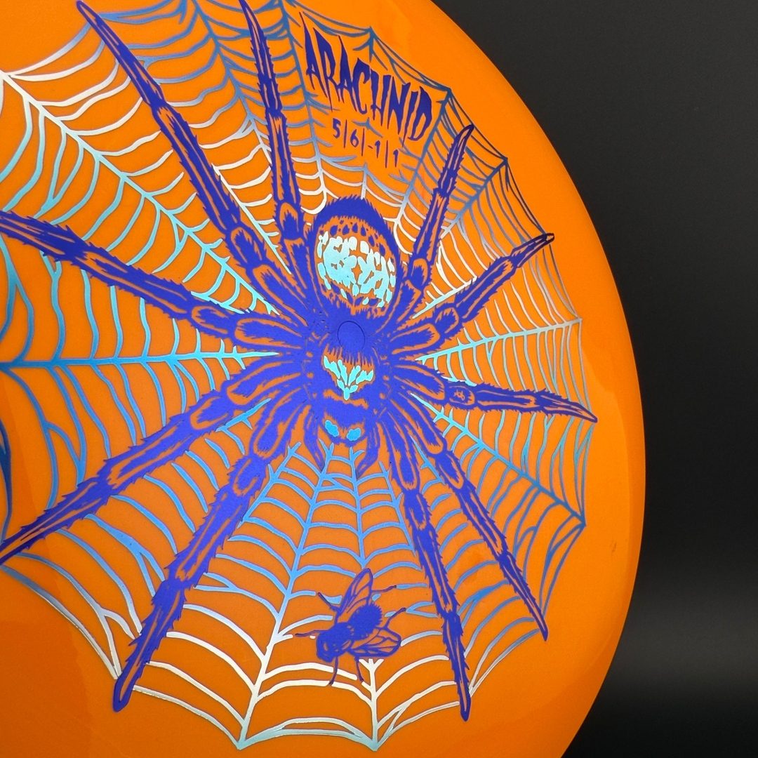 Star Arachnid - Decawolf by Kelly Baber