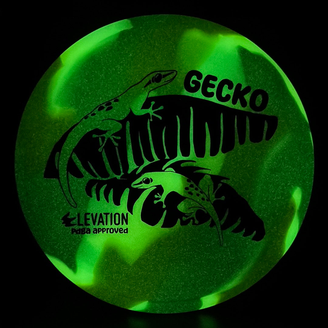 glO-G Glow Gecko Elevation
