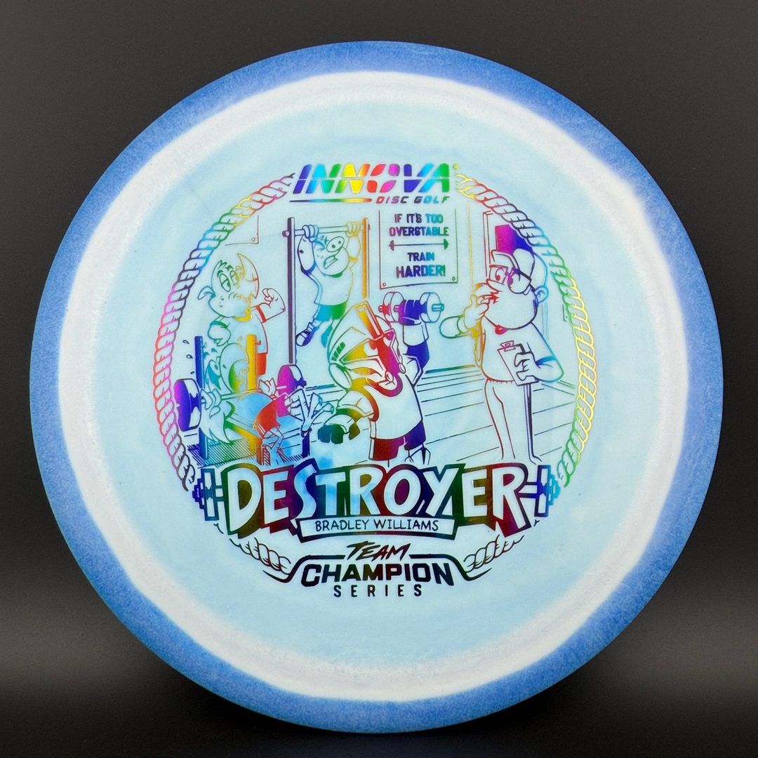 Halo Star Destroyer - Baby Destroyer - PDGA Masters Bradley Williams Innova