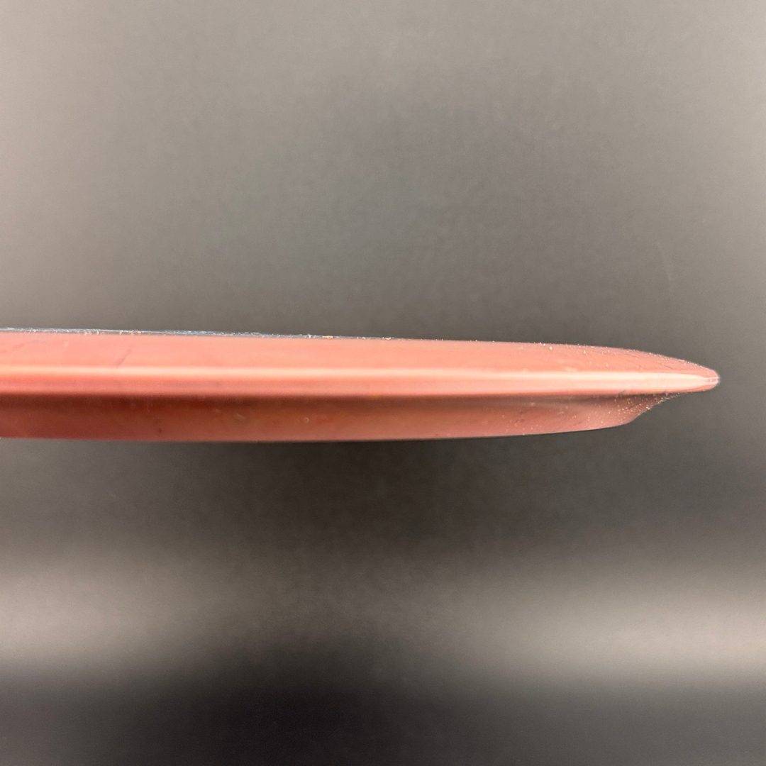 Landfill Ice Age Doomsday Discs