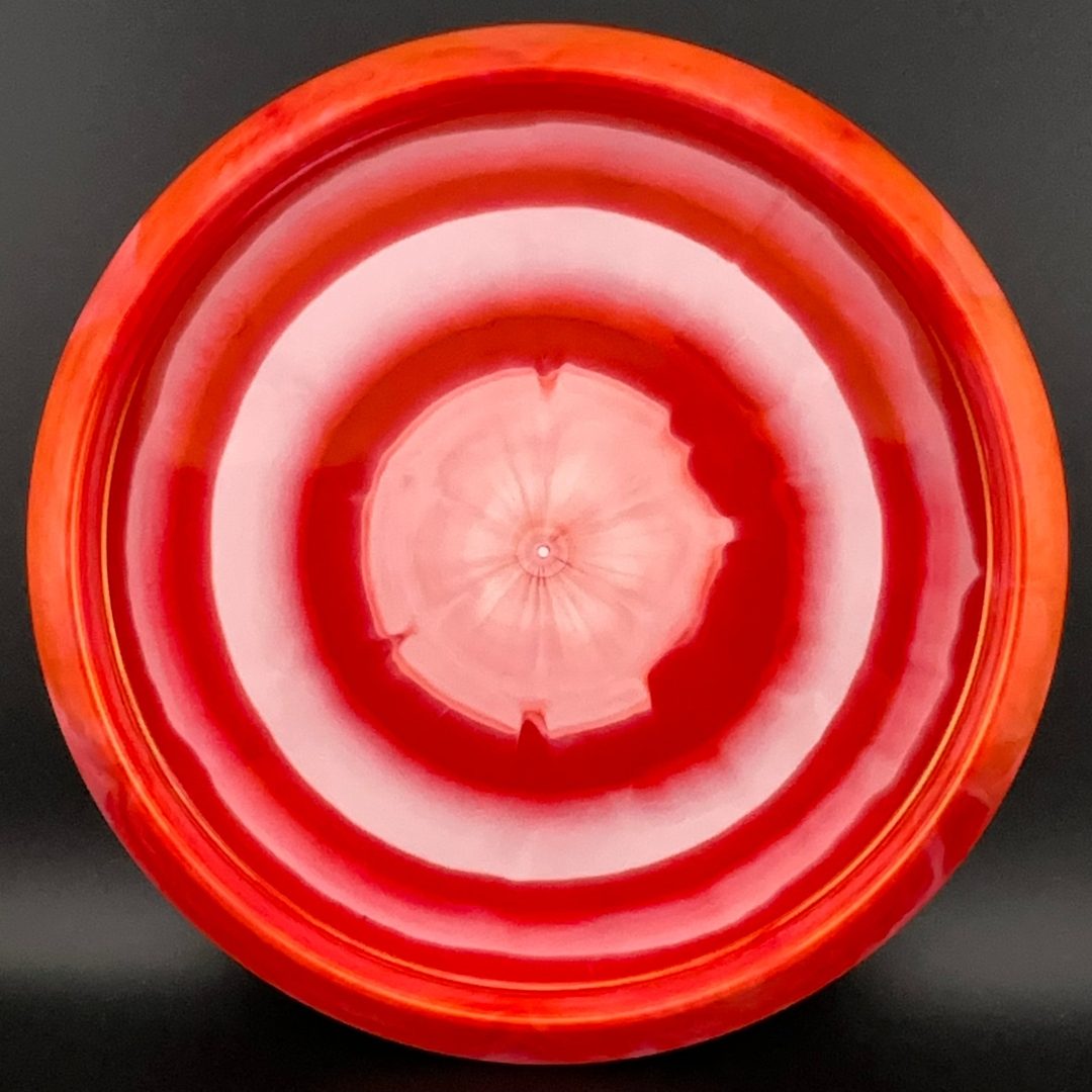 Steady Ring Berry Clash Discs