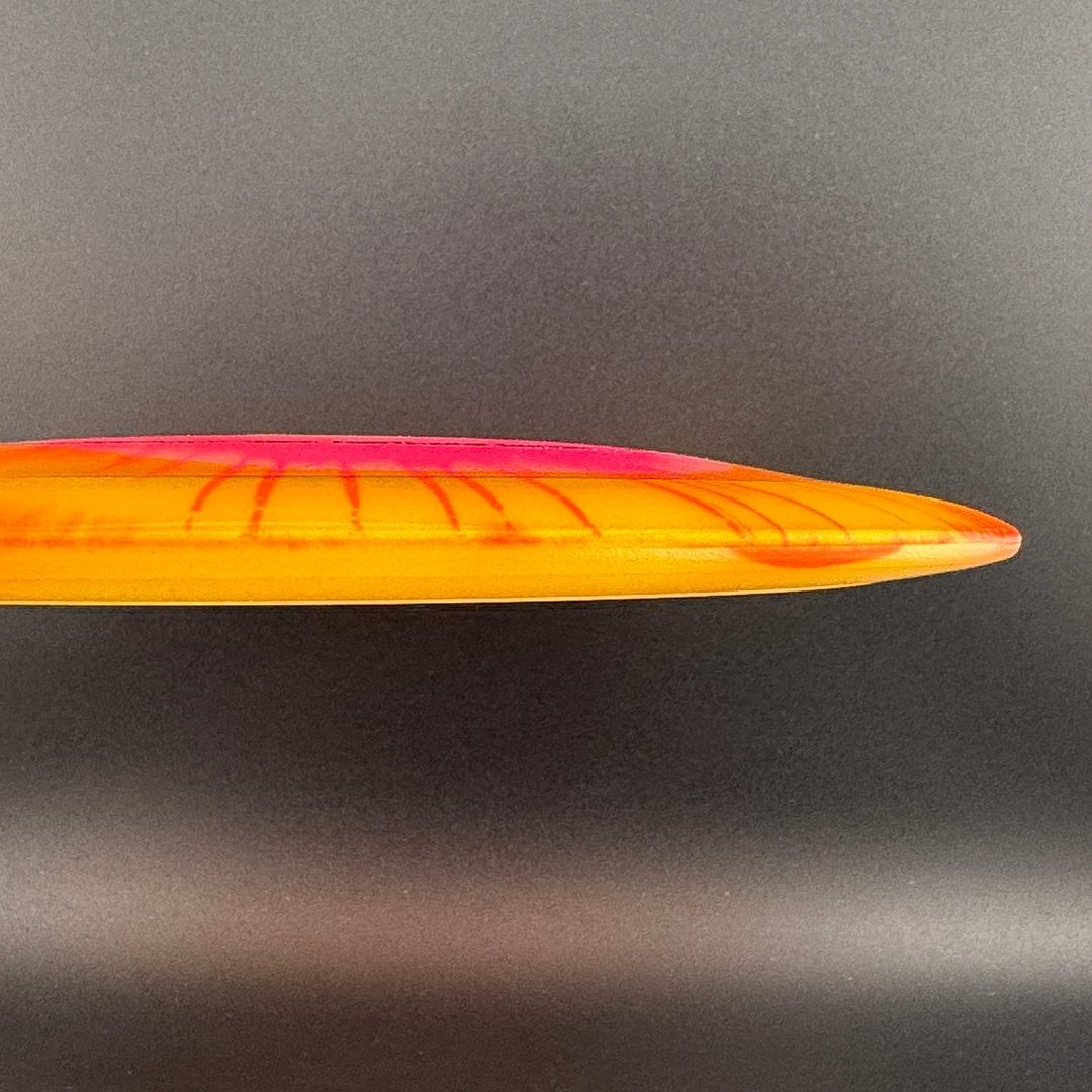 I-Dye Champion Gorgon Innova