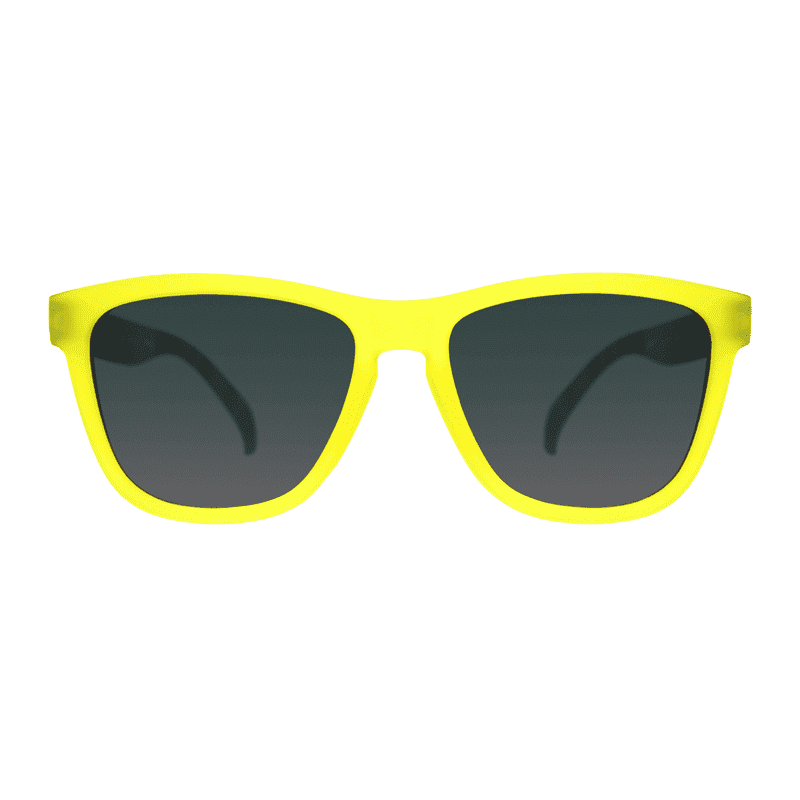 "Isla Nublar 1993 Tour” Jurassic Park OG Polarized Sunglasses Rare