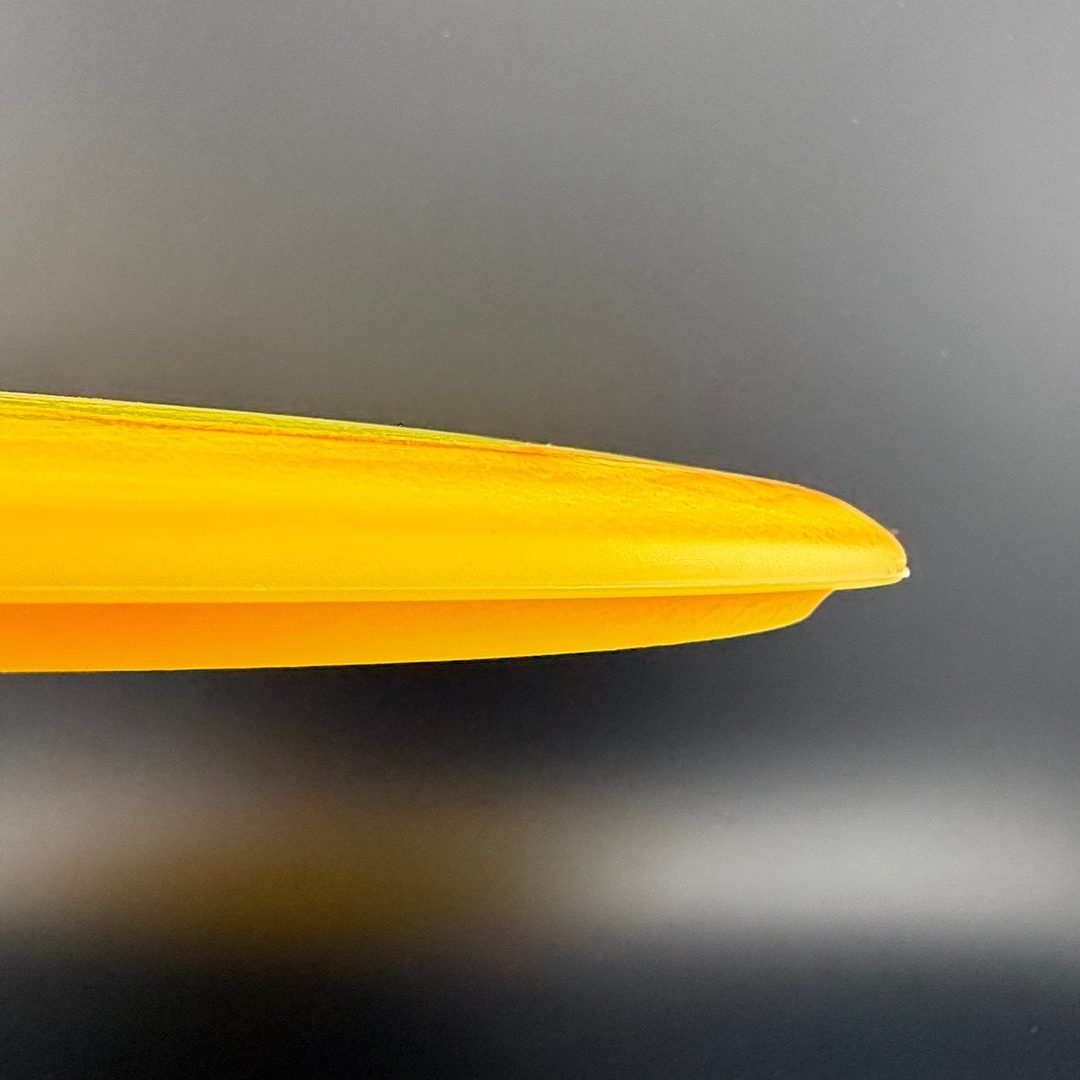 Egg Shell Brachiosaurus Dino Discs