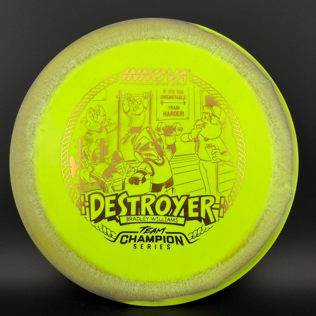 Halo Star Destroyer - Baby Destroyer - PDGA Masters Bradley Williams Innova