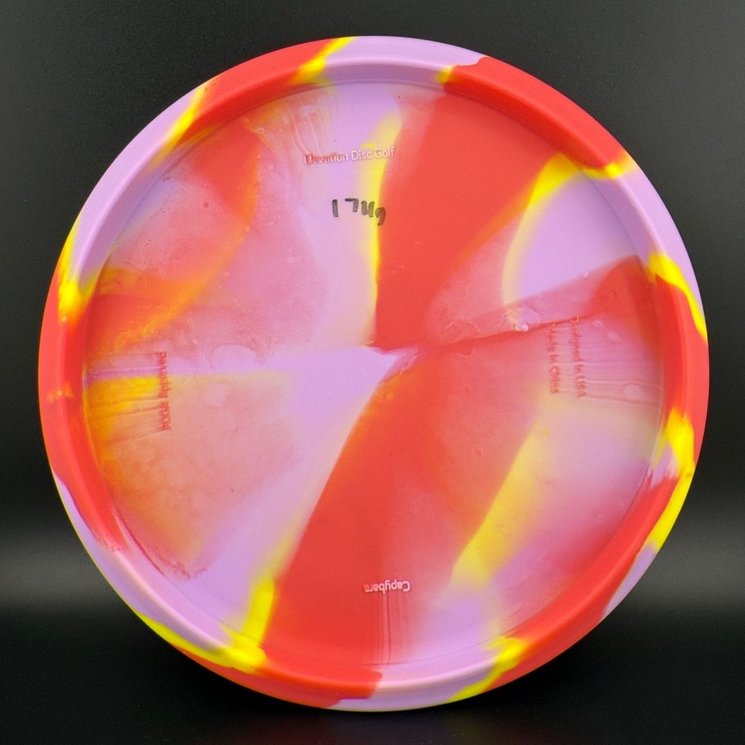 OG Capybara - Clownybara Elevation