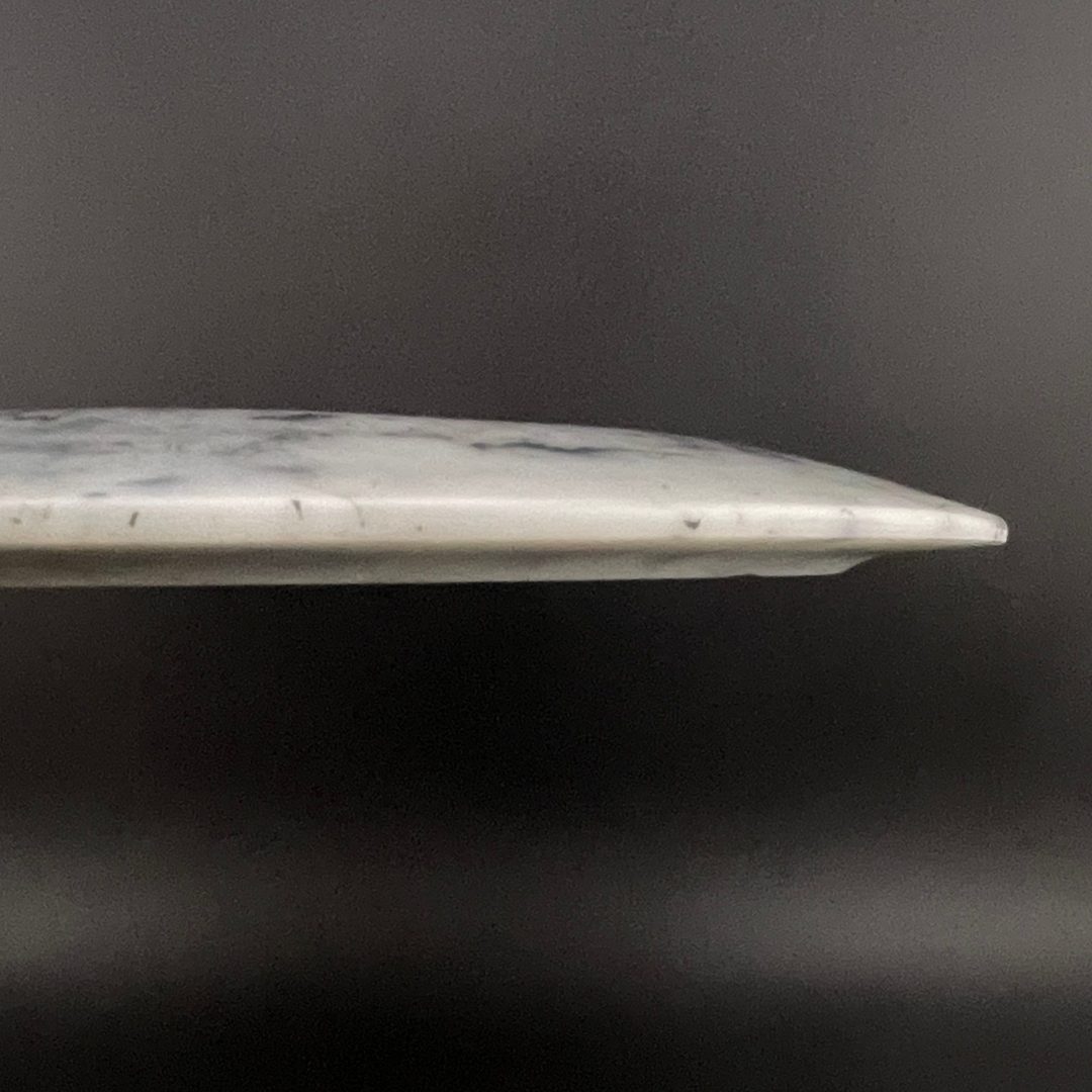 Radioactive Waste Famine Doomsday Discs