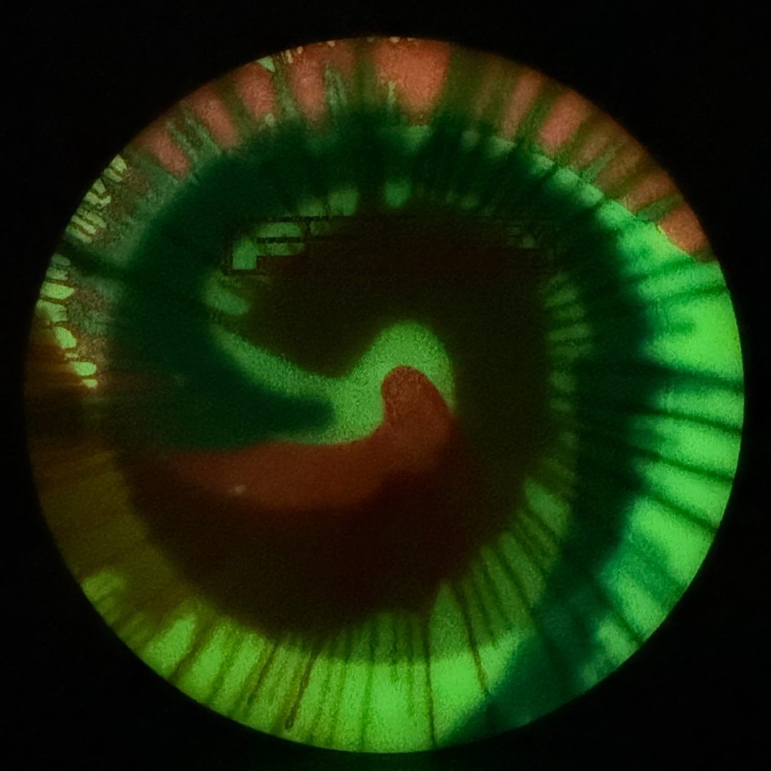 I-Dye Glow Champion Dominator - F2 Innova