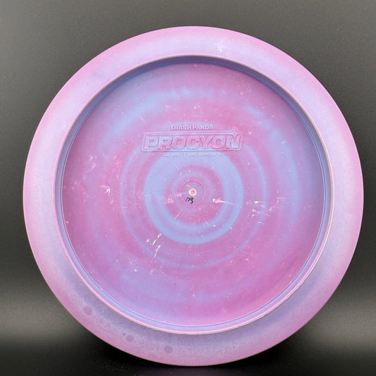 Swirly Procyon Premium - Queen City Sig Series trash panda