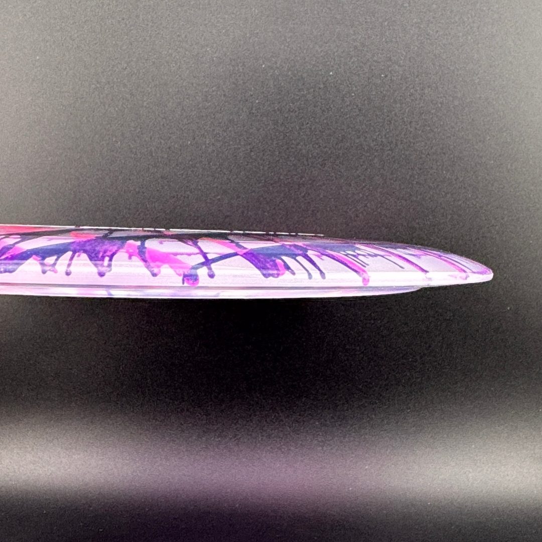 I-Dye Champion Tern Innova