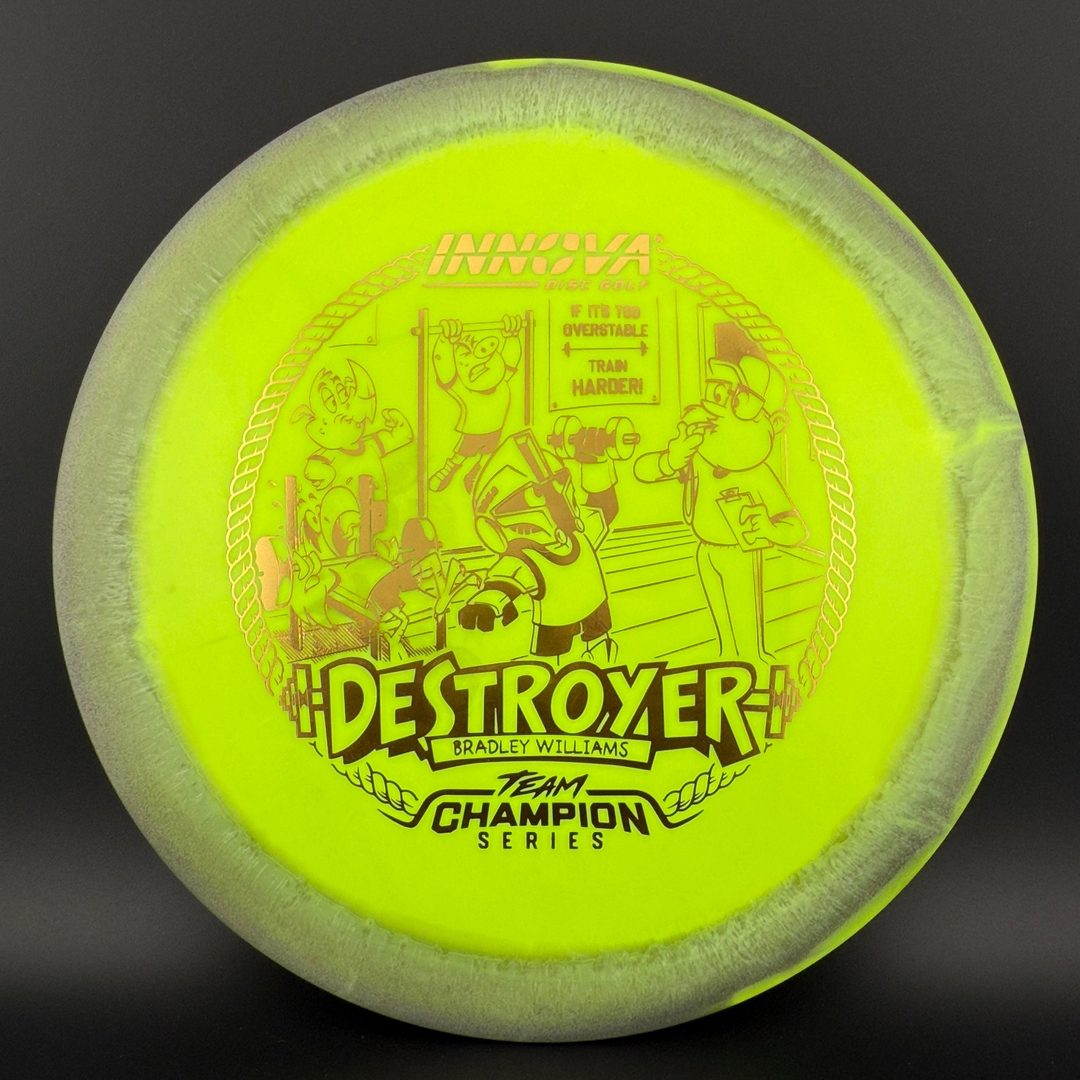 Halo Star Destroyer - Baby Destroyer - PDGA Masters Bradley Williams Innova