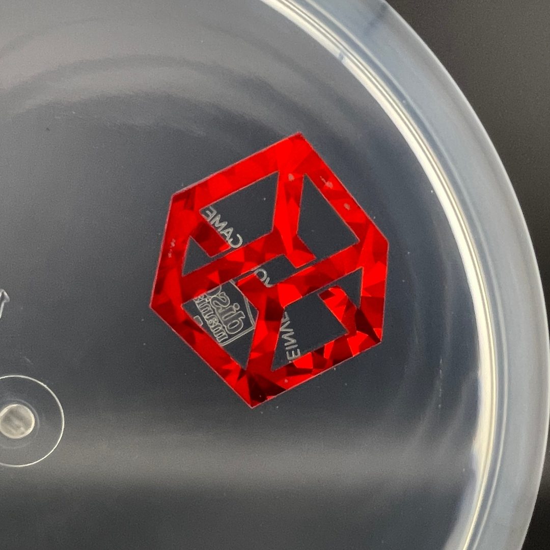 C-Line MD3 - Mystery Box Mini Stamp Discmania