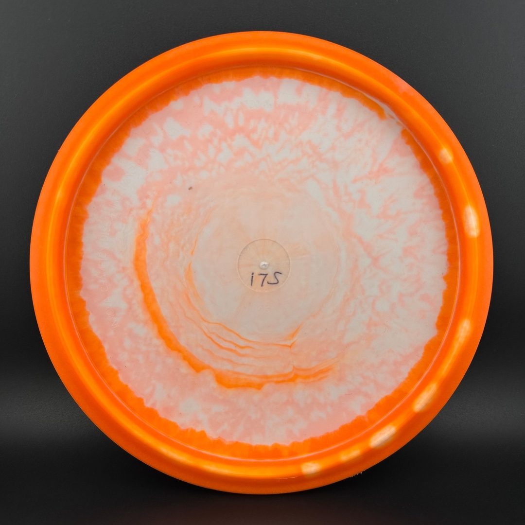 Halo Nexus Pig - Bradley Williams 2024 Tour Series Innova