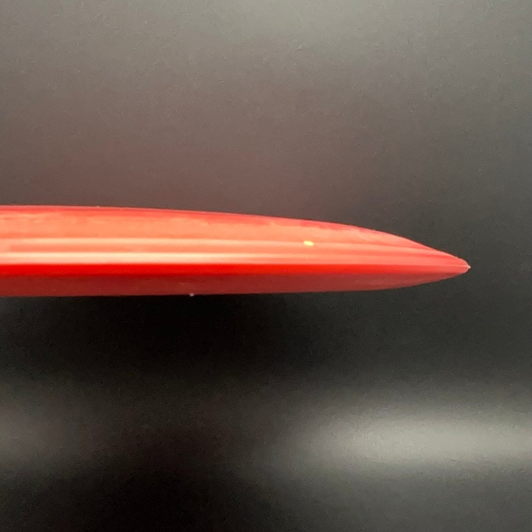 Egg Shell Pterodactyl - 2024 Run Dino Discs