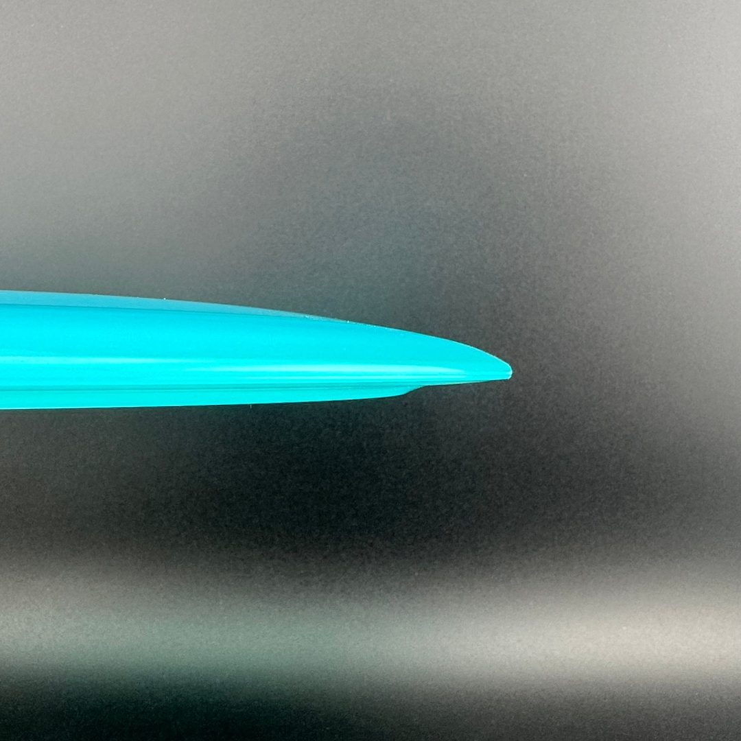 Champion Tern Innova