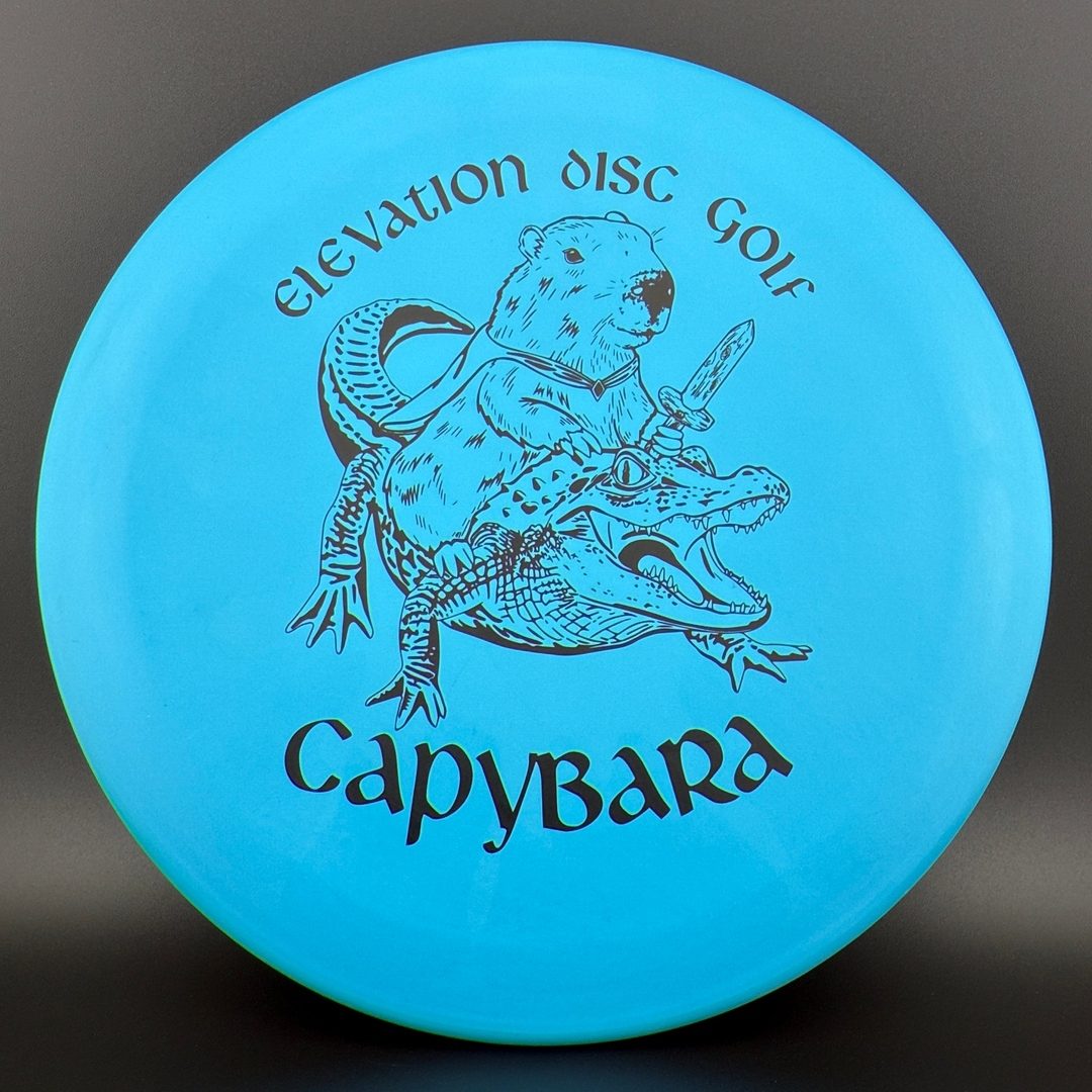 ecoFIRM Capybara - First Run Elevation