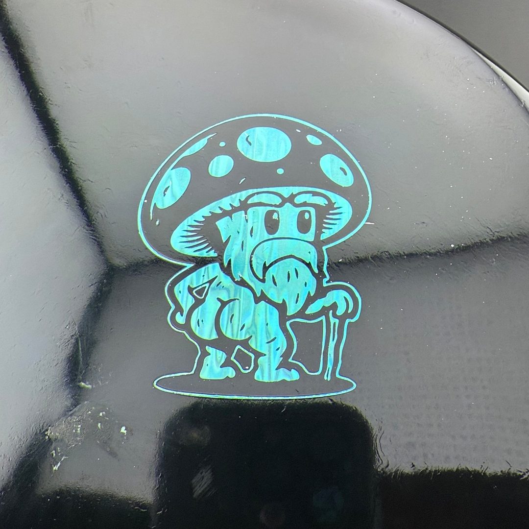 Survival Rot - Wonky Top / Warped Doomsday Discs