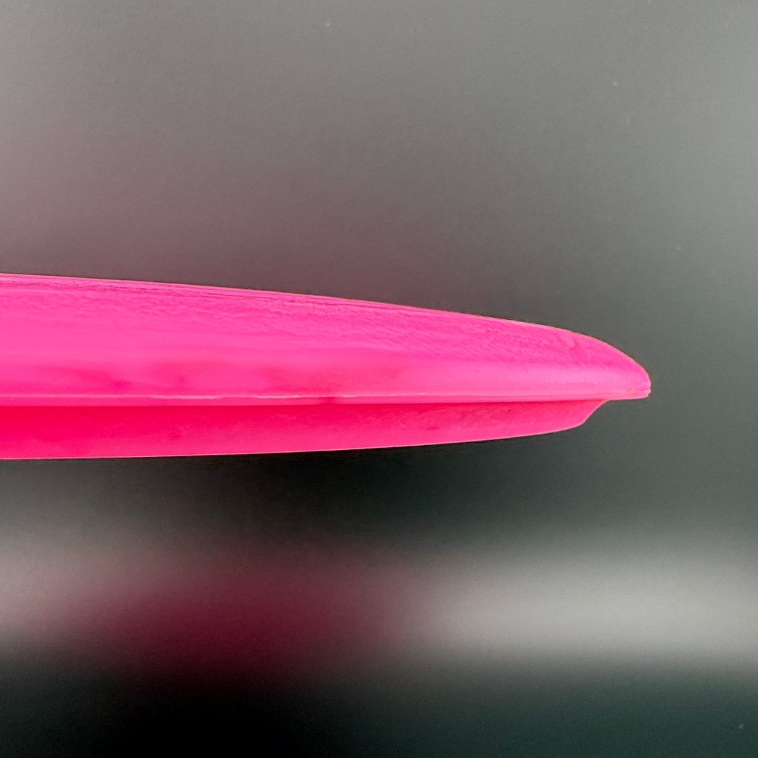 Egg Shell Brachiosaurus Dino Discs