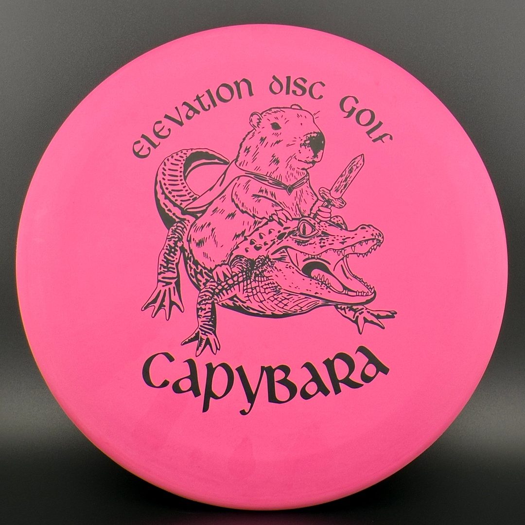 ecoFIRM Capybara - First Run Elevation