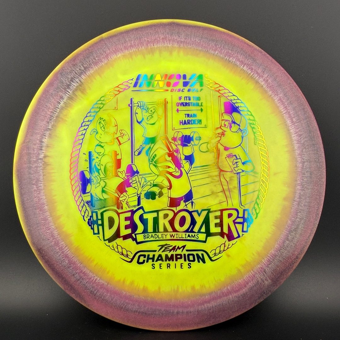 Halo Star Destroyer - Baby Destroyer - PDGA Masters Bradley Williams Innova