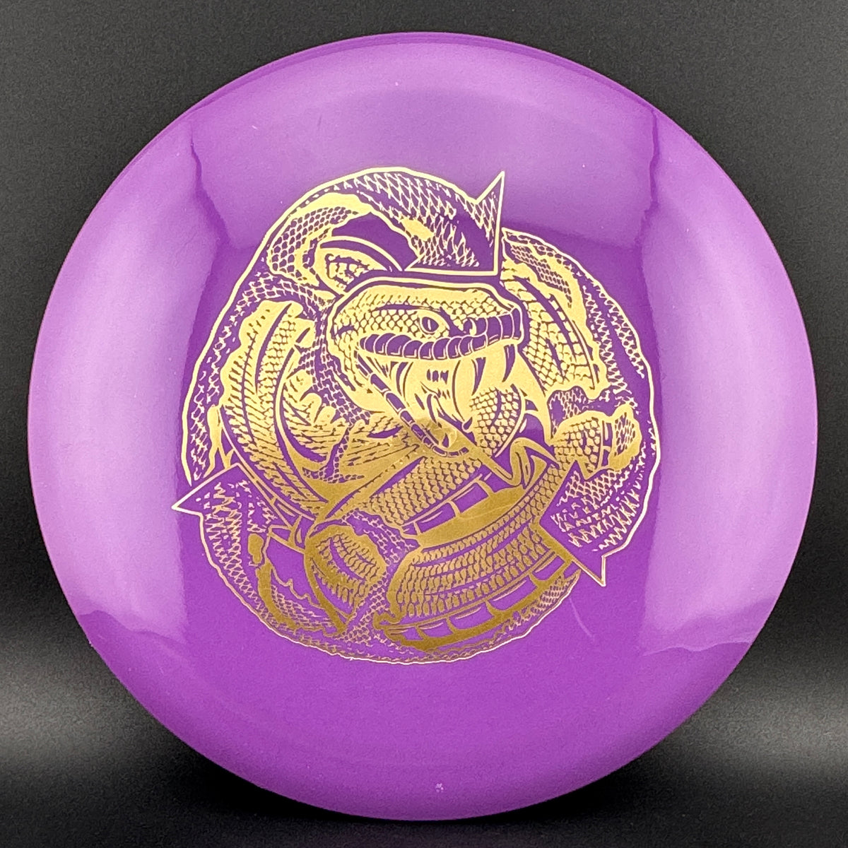 Echo Star Mamba Innova