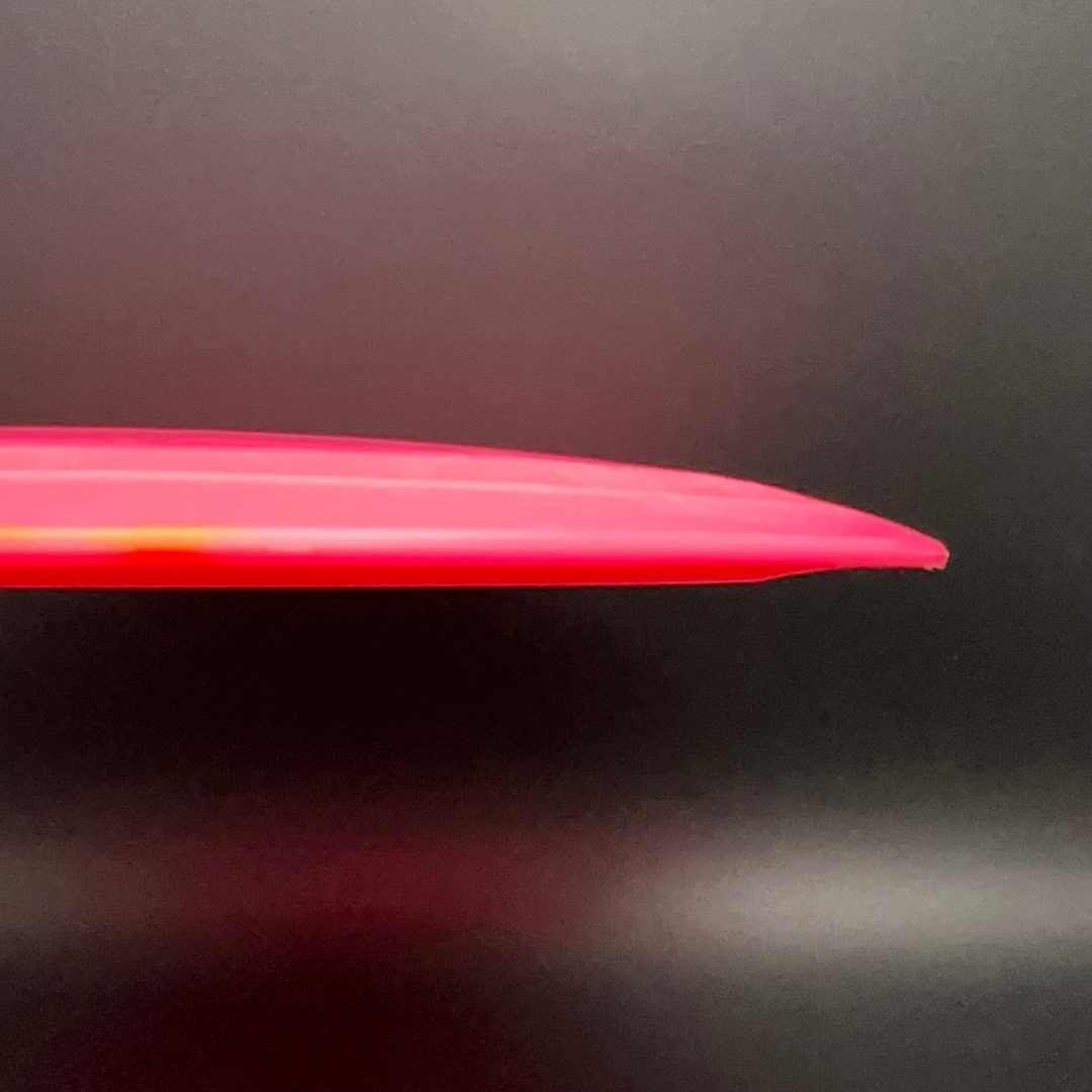 Egg Shell Tyrannosaurus Rex - Baby T-Rex Dino Discs