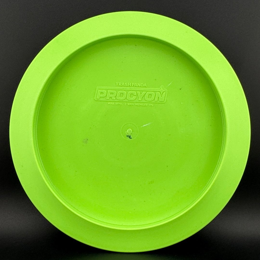Procyon trash panda