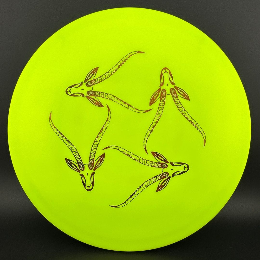 Star Gazelle - Limited Edition Innova