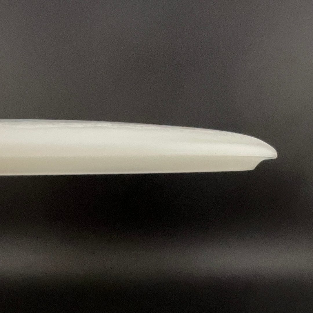 Glow Egg Shell Brachiosaurus - Special Edition Dino Discs