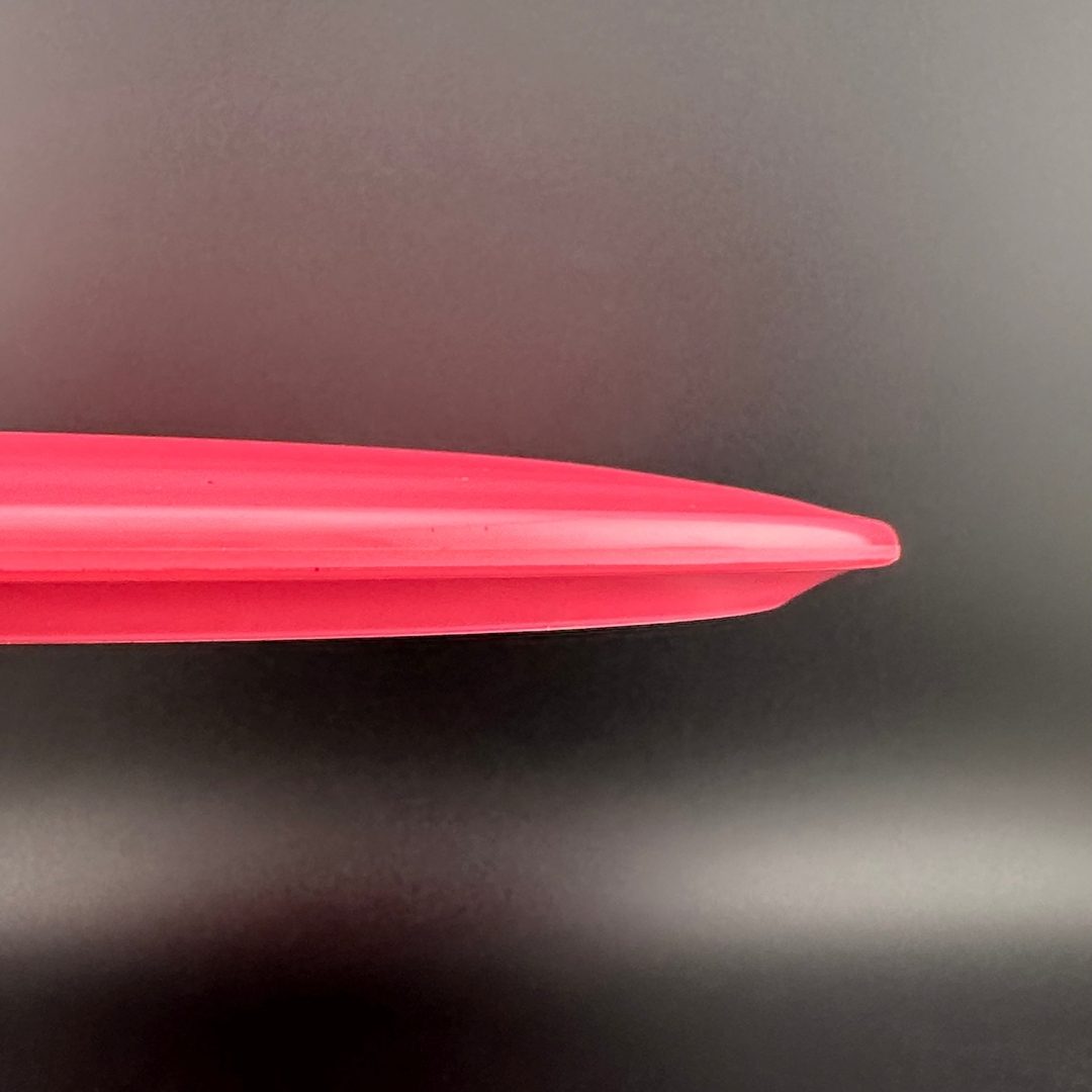 Star Gazelle - Factory Second Innova