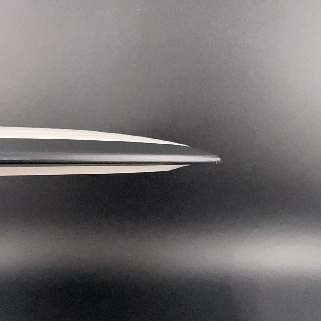 Fission Dimension - Gyropalooza 2025 MVP