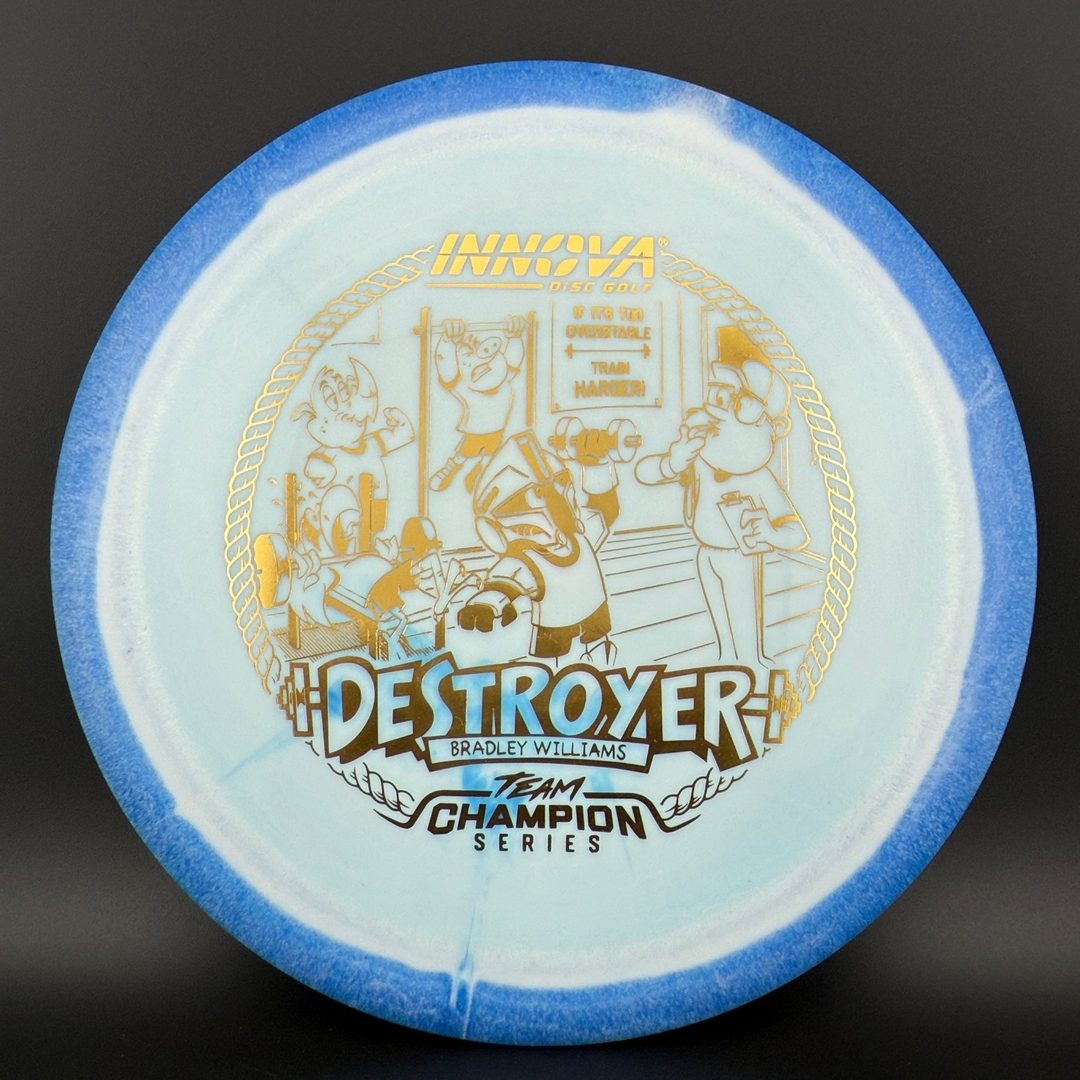 Halo Star Destroyer - Baby Destroyer - PDGA Masters Bradley Williams Innova