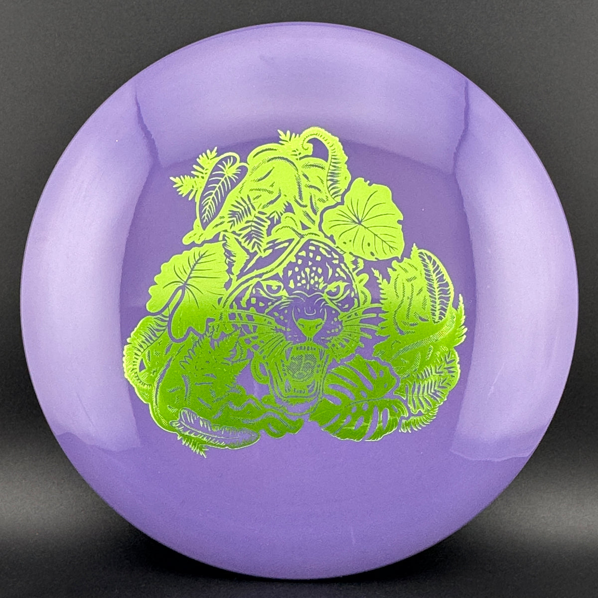 Echo Star Leopard3 Innova
