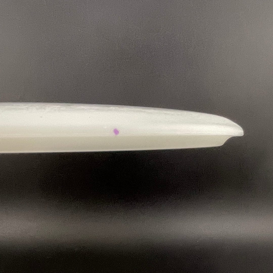 Glow Egg Shell Brachiosaurus - Special Edition Dino Discs